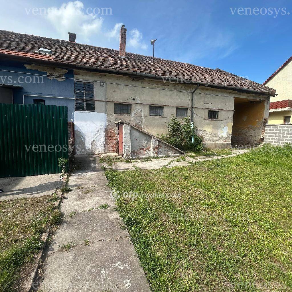 Kép 15