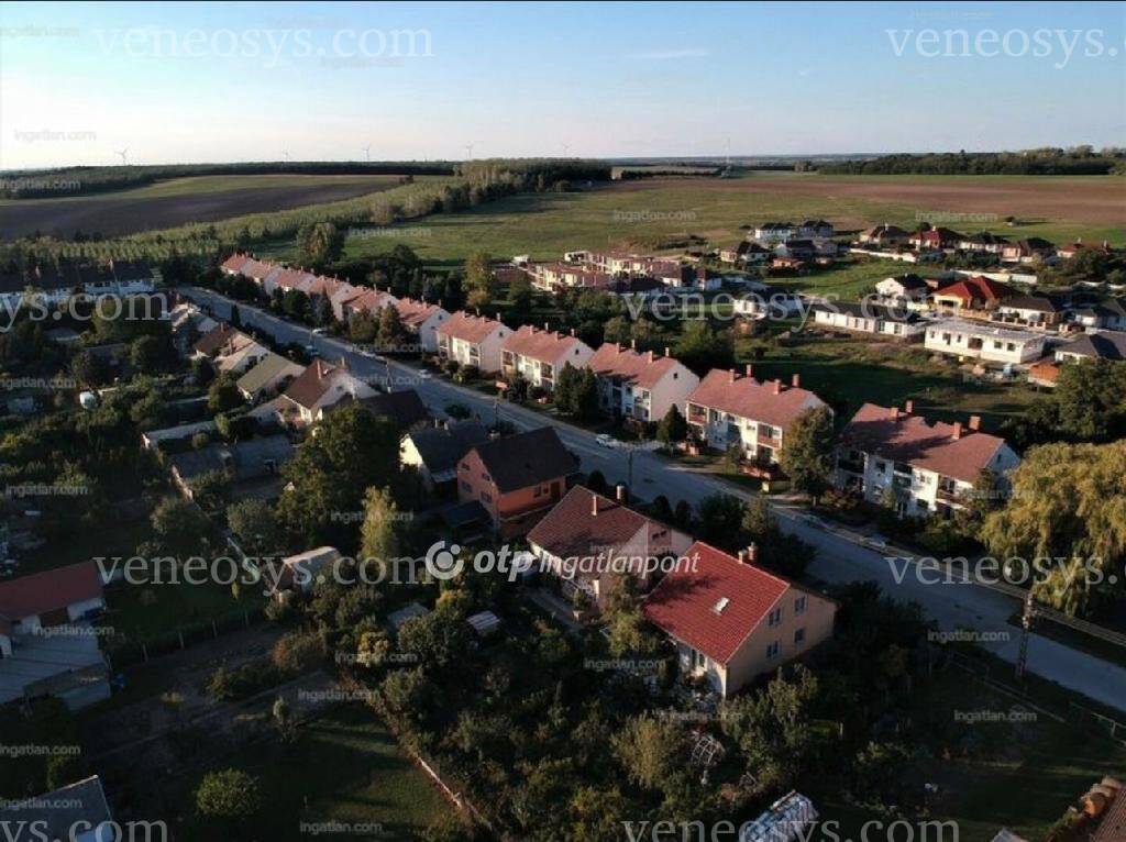 Kép 3