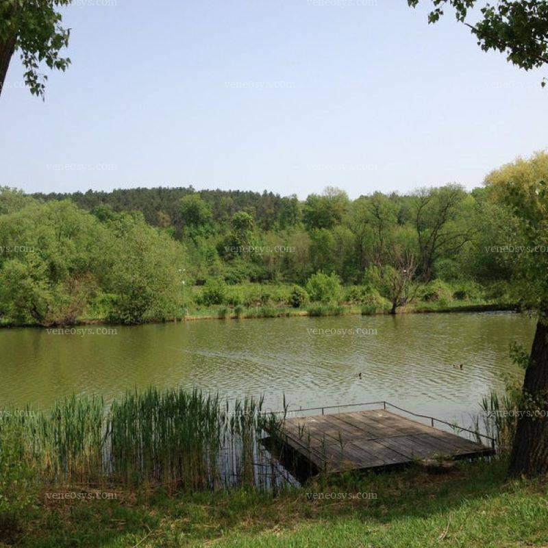 Kép 9