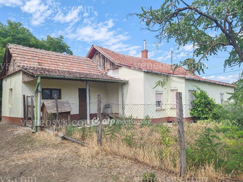 Kép 14
