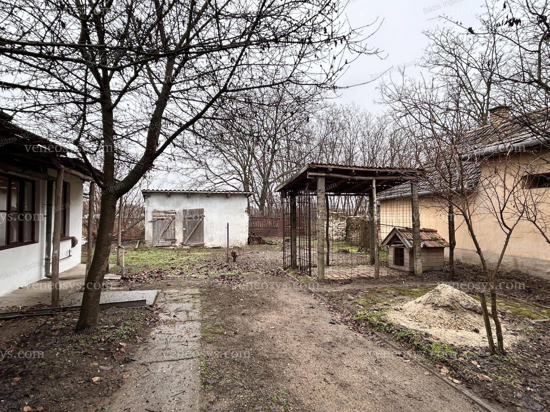 Kép 24