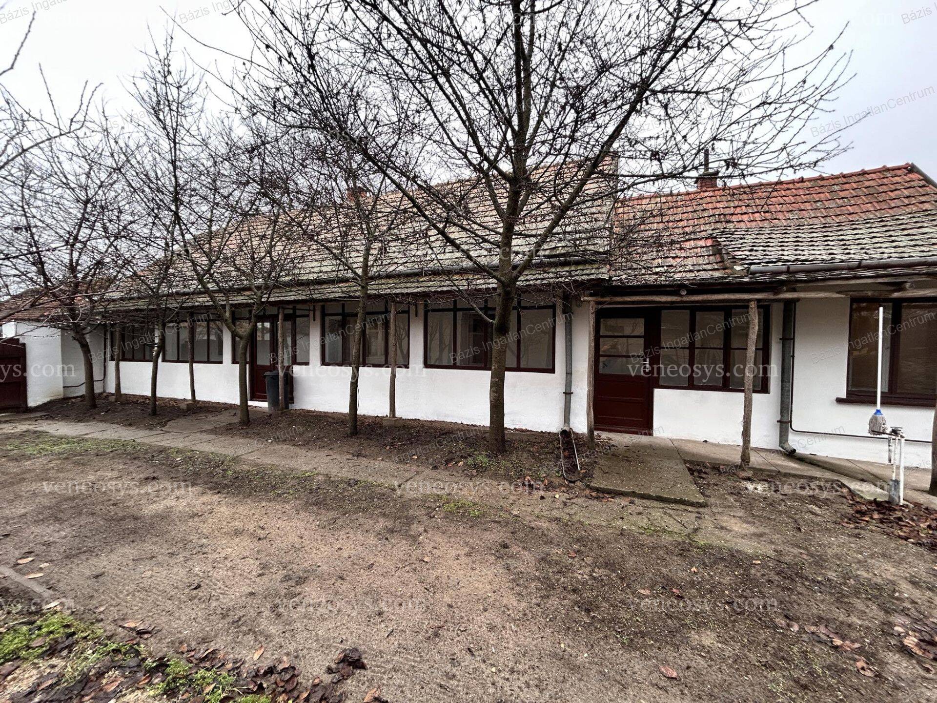Kép 19