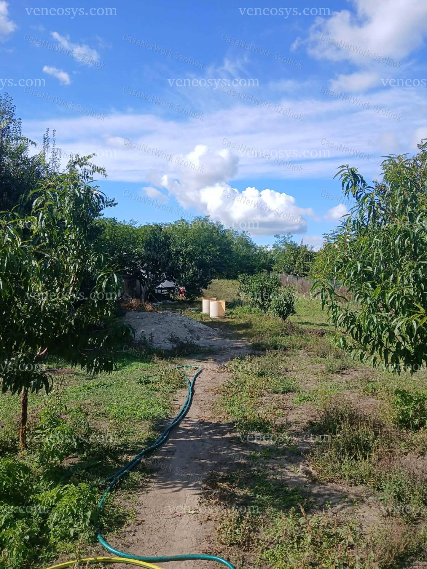 Kép 18