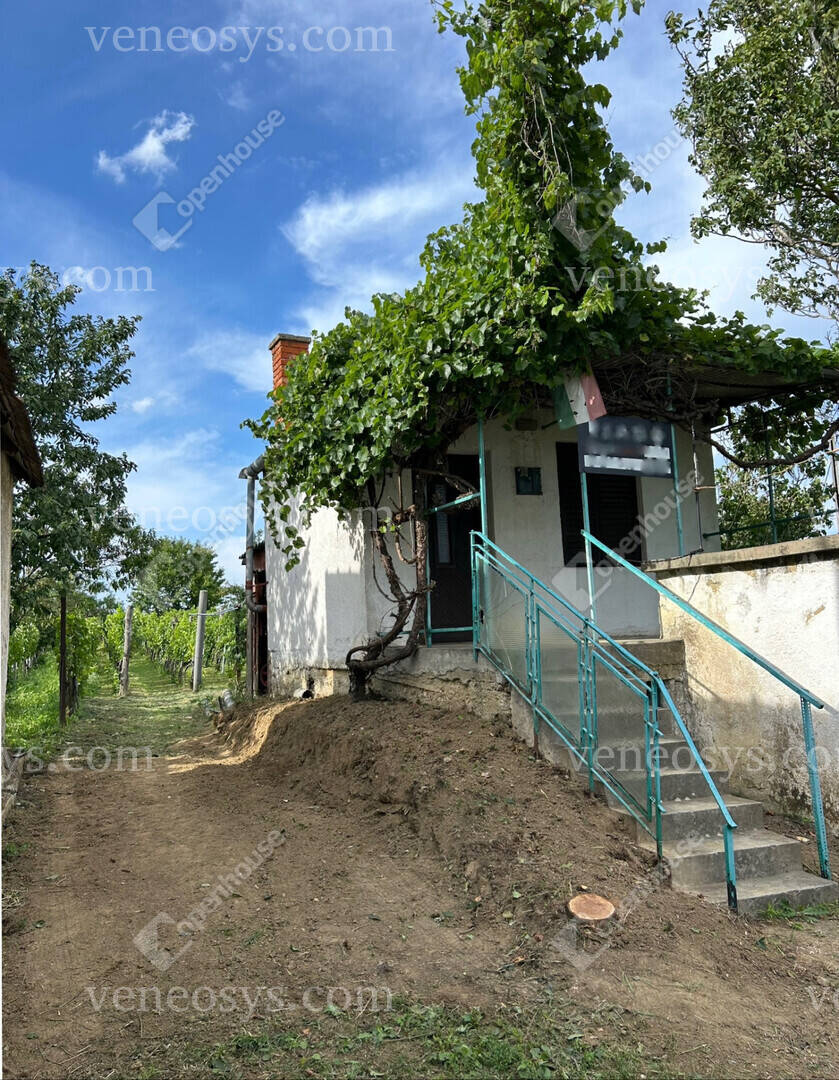 Kép 12