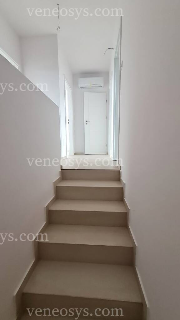 Kép 5