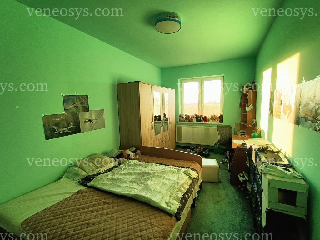 Kép 5