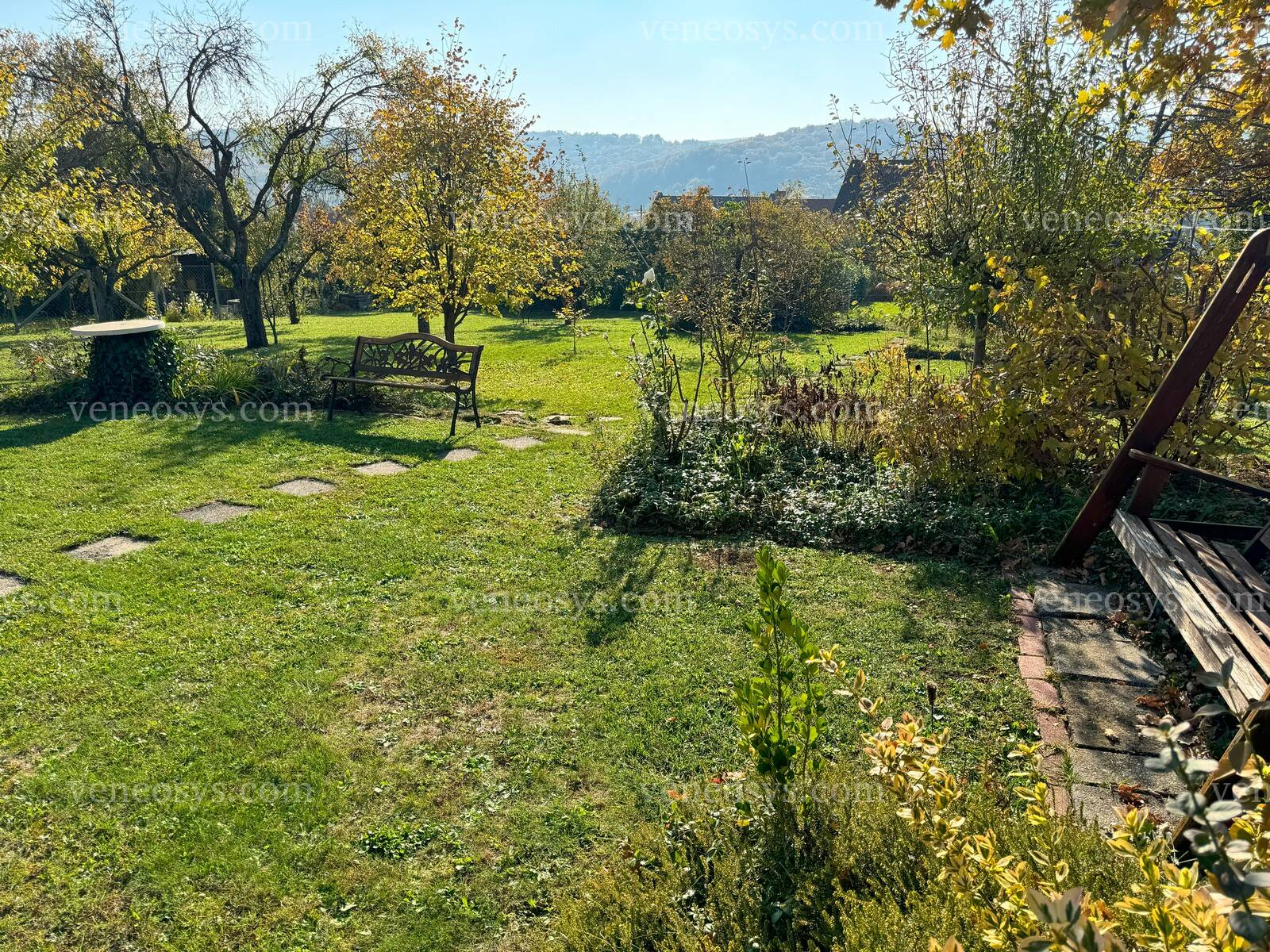 Kép 25