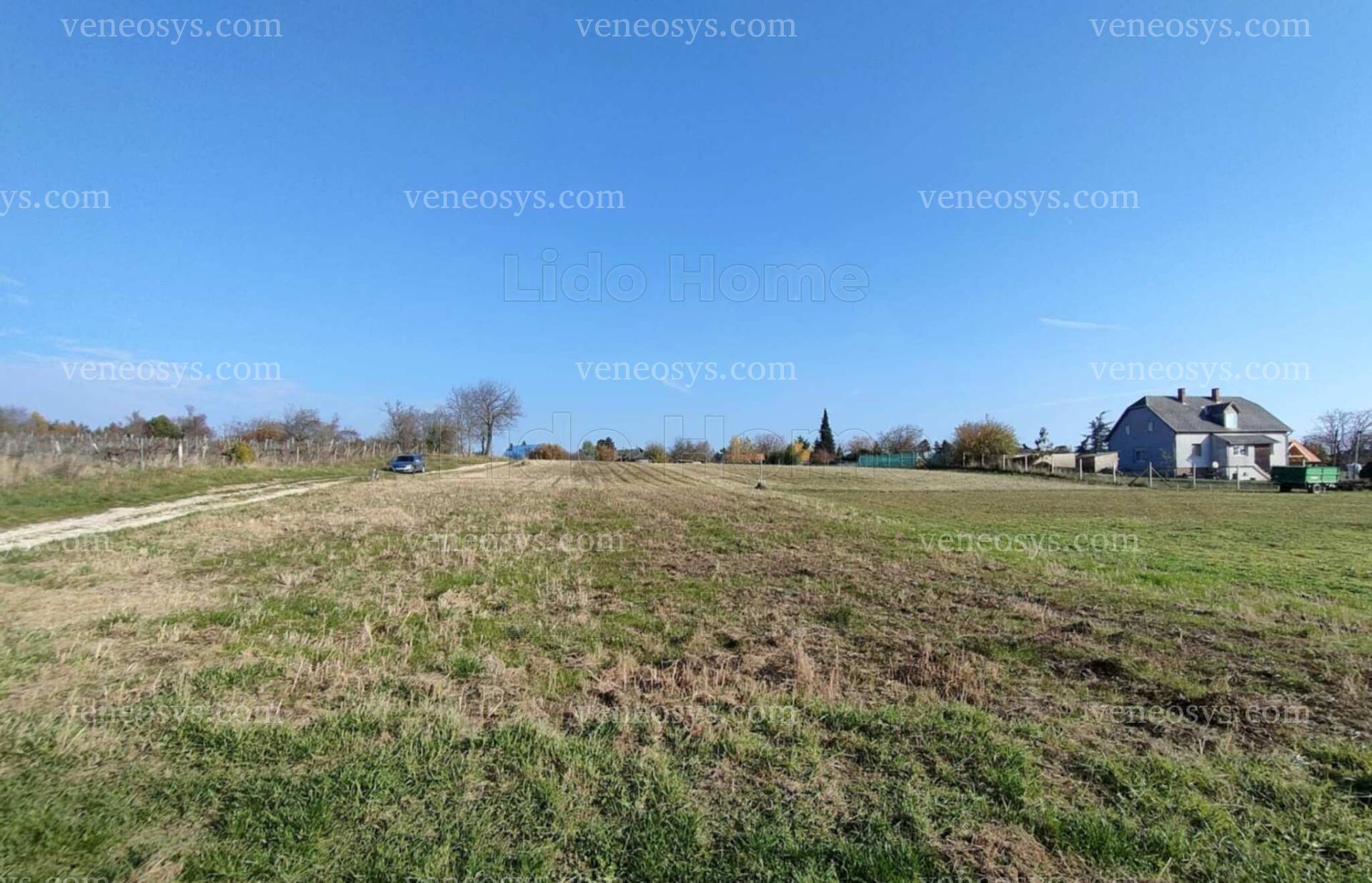 Kép 6