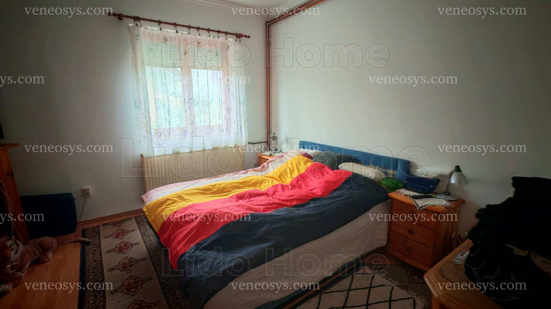 Kép 12