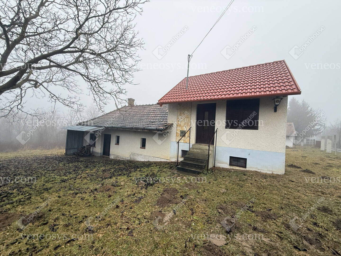 Kép 10