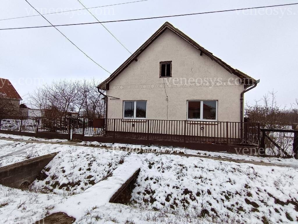 Kép 19