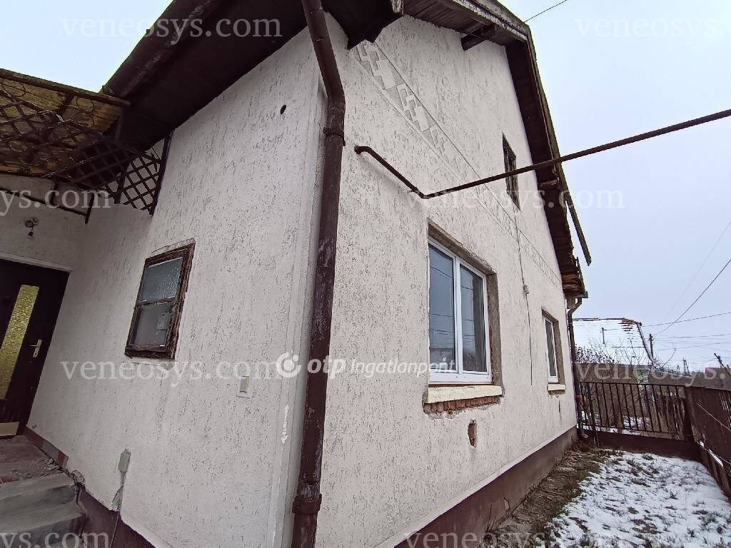 Kép 4