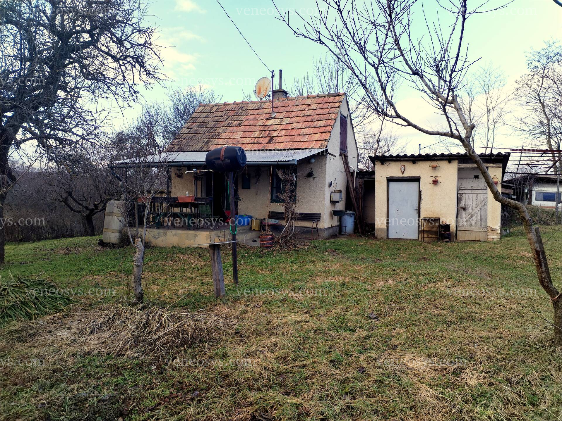 Kép 1