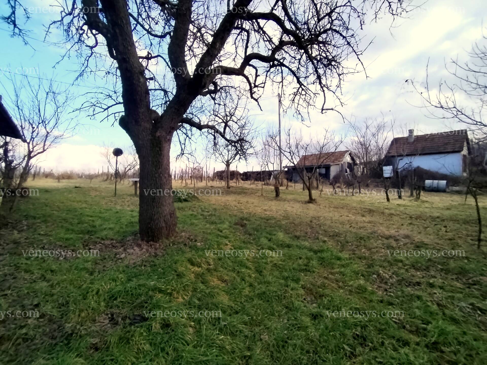 Kép 11