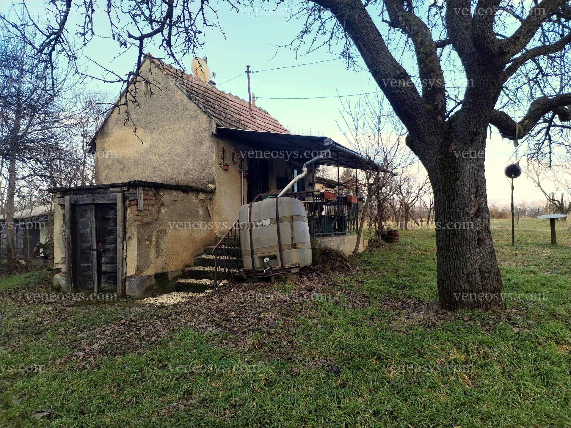 Kép 8