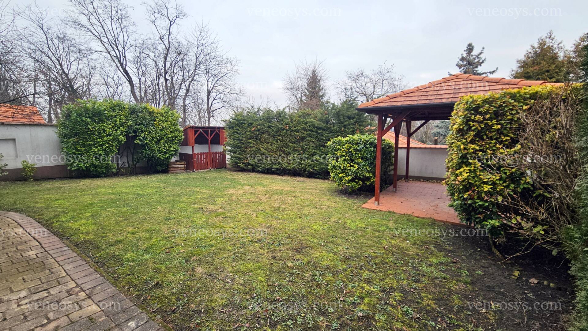 Kép 11