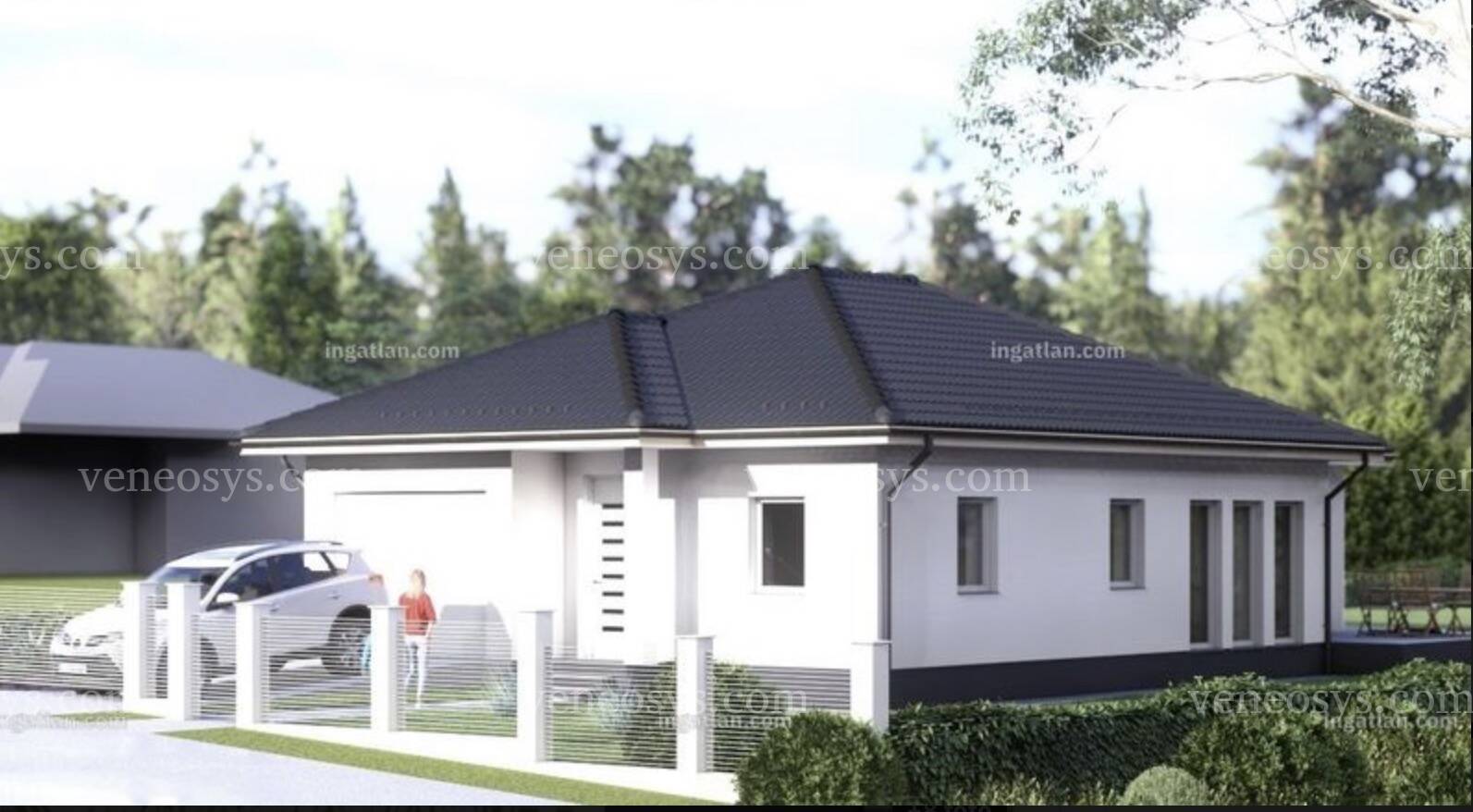 Kép 5