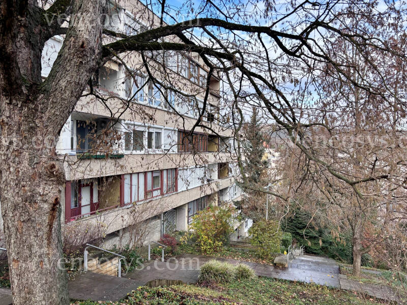 Kép 7