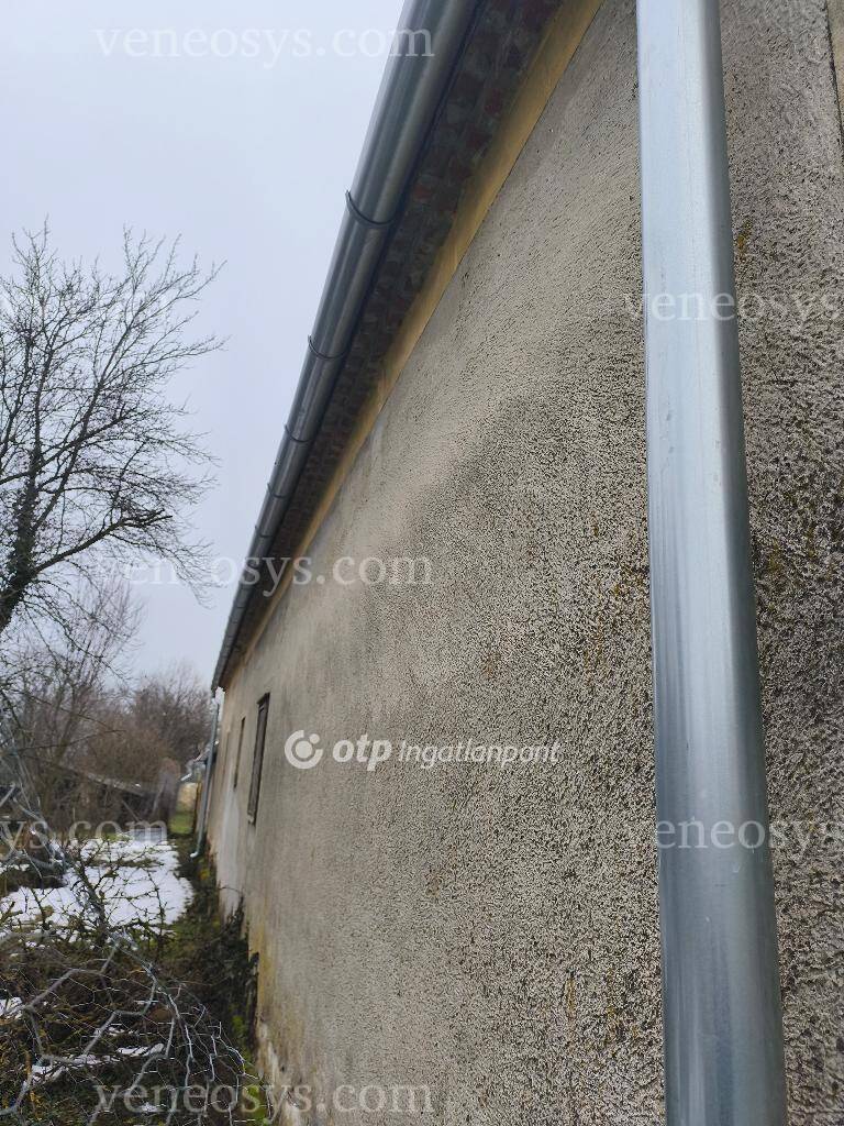 Kép 5
