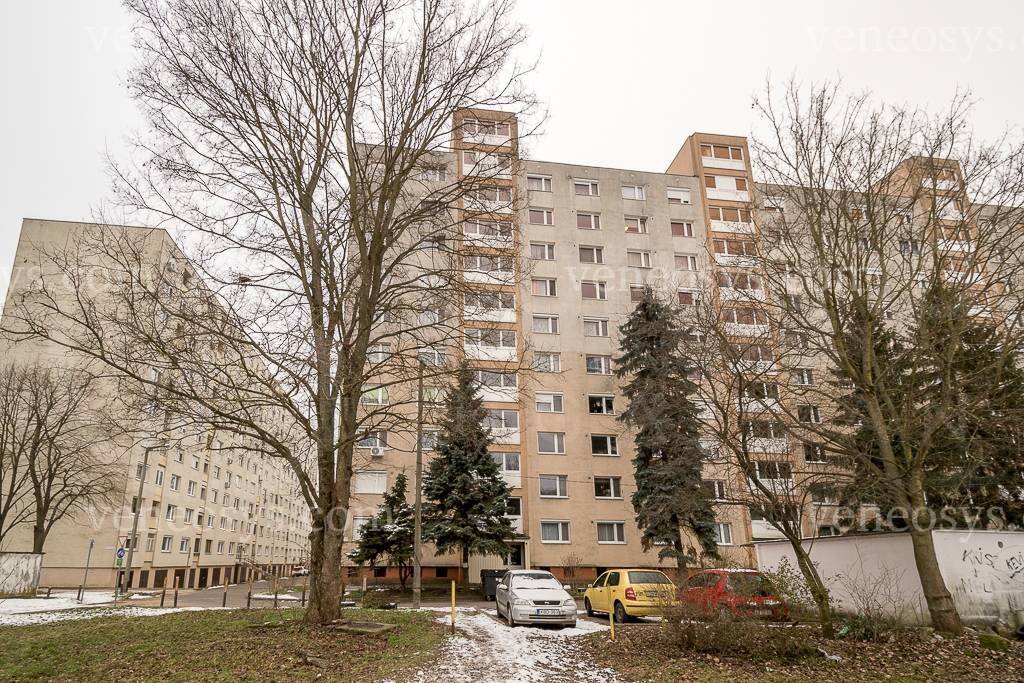 Kép 11