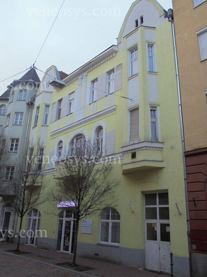 Kép 13