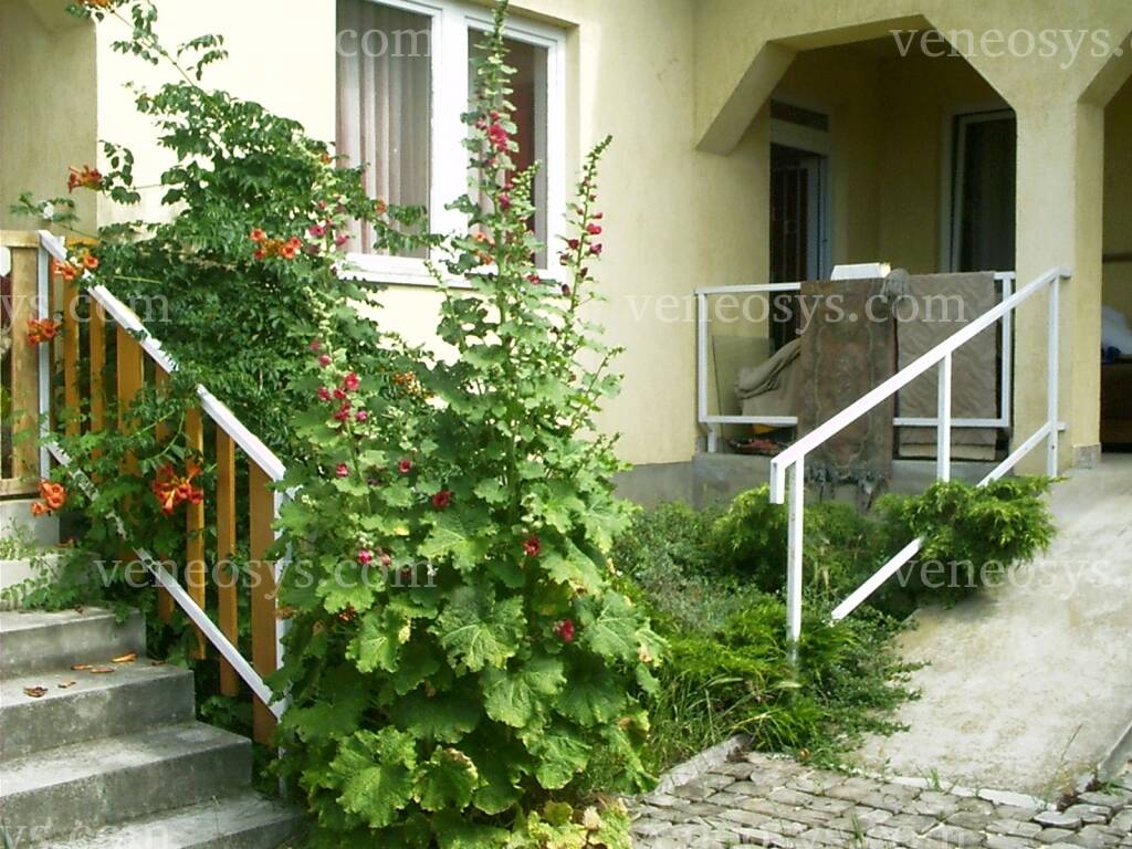 Kép 2