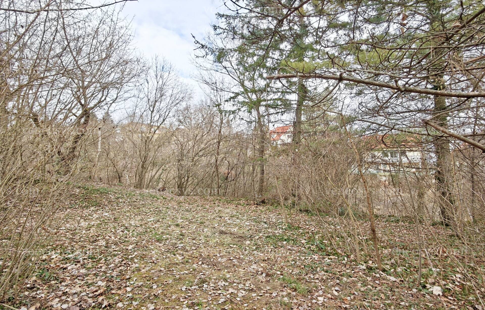 Solymár