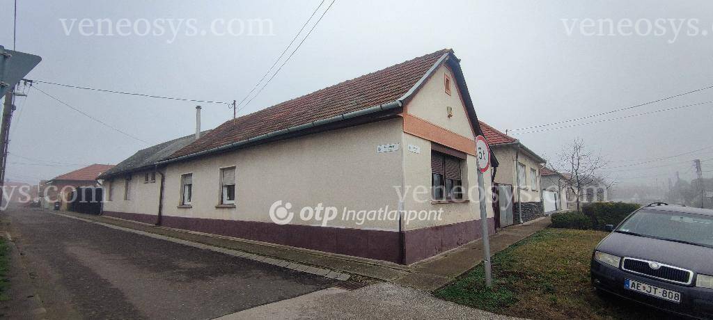 Kép 6