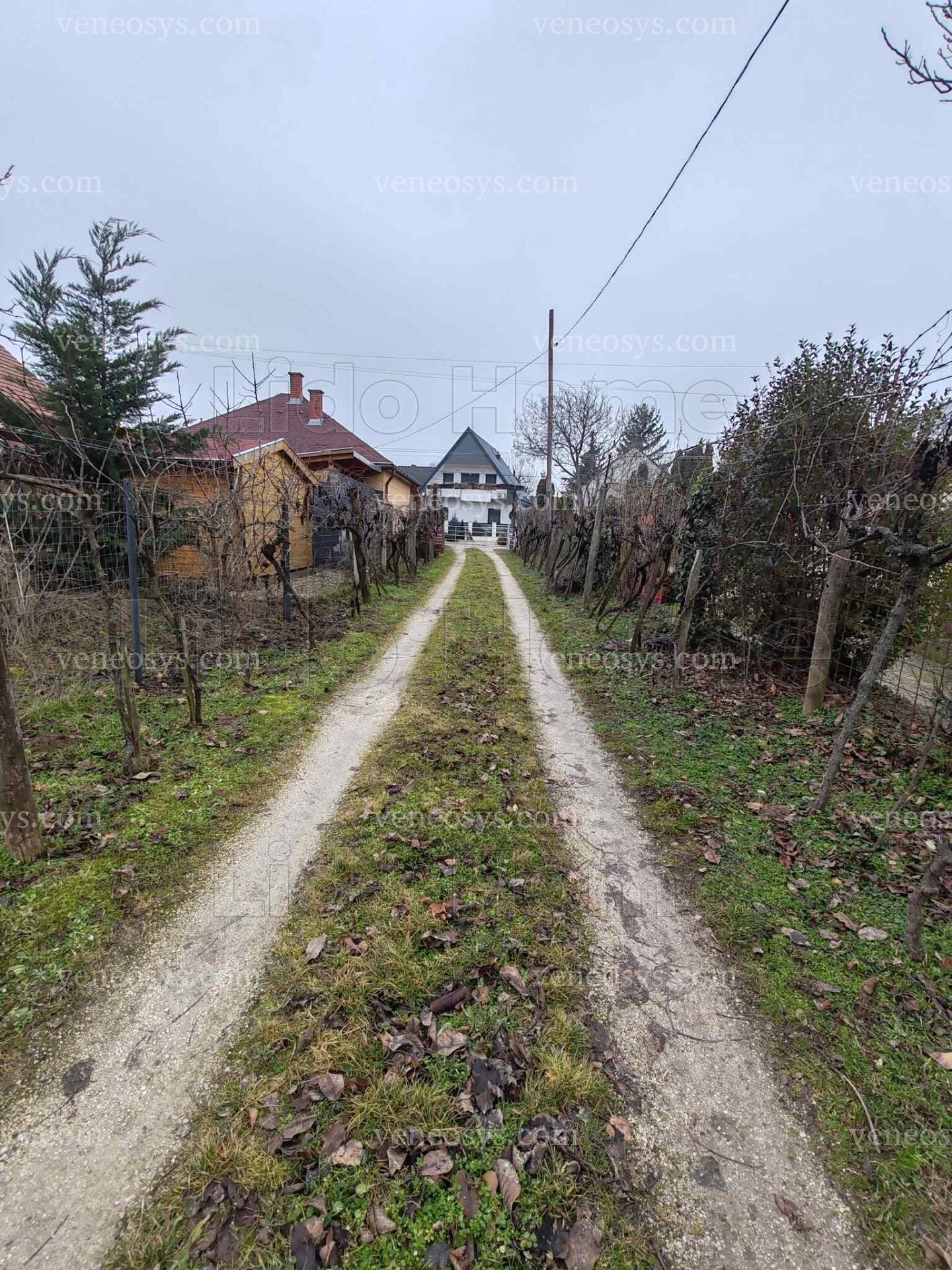 Kép 7
