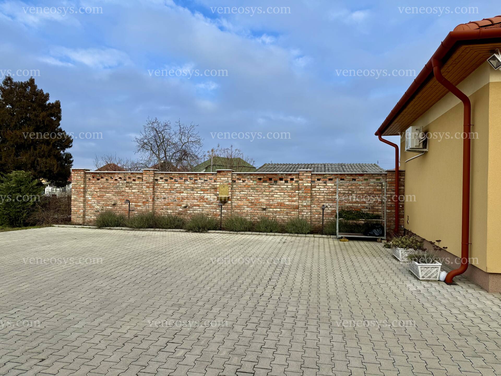Kép 5