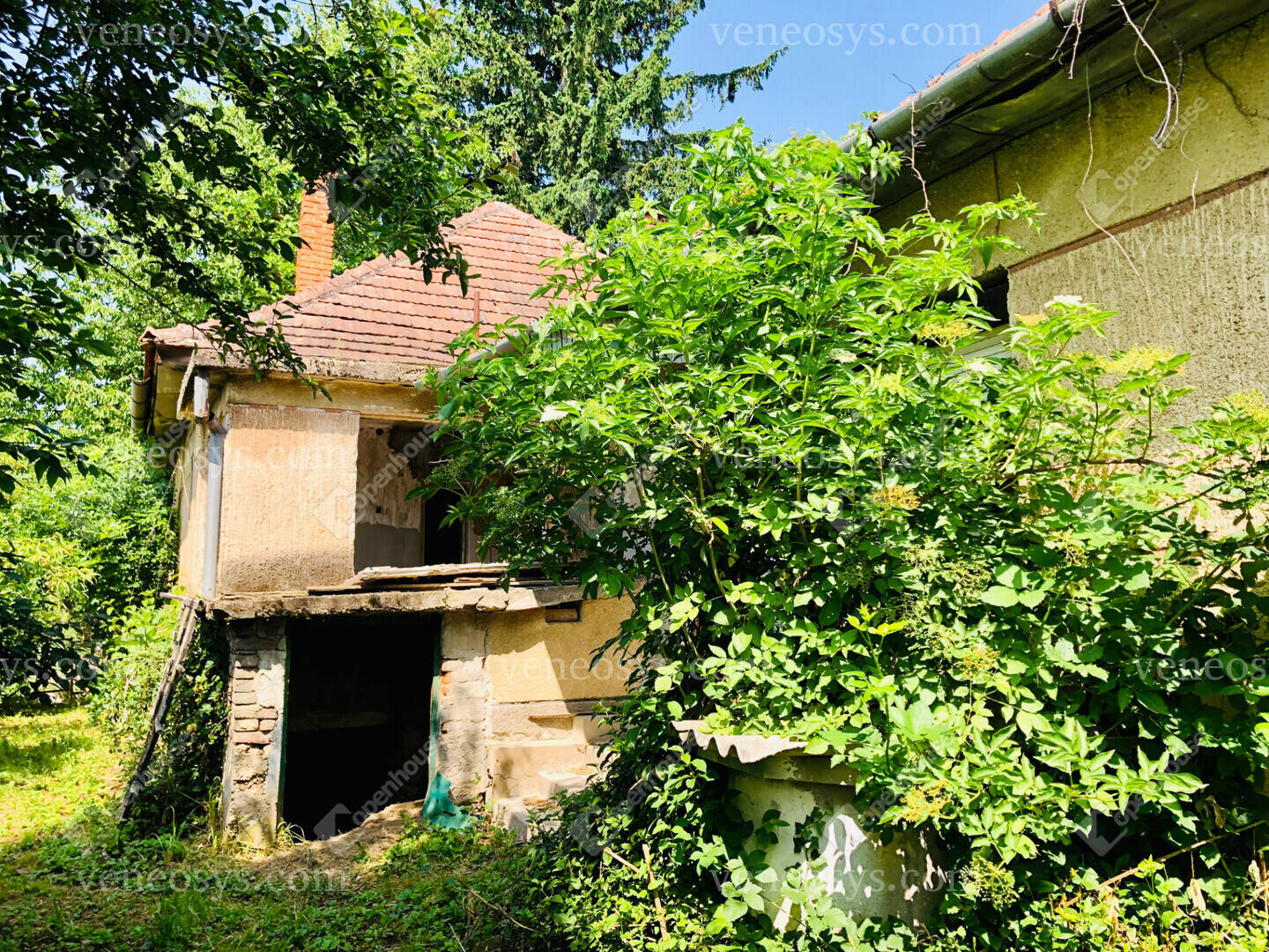 Kép 3