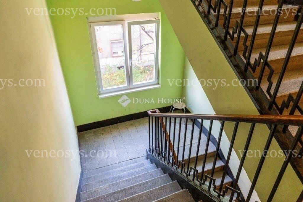 Kép 5