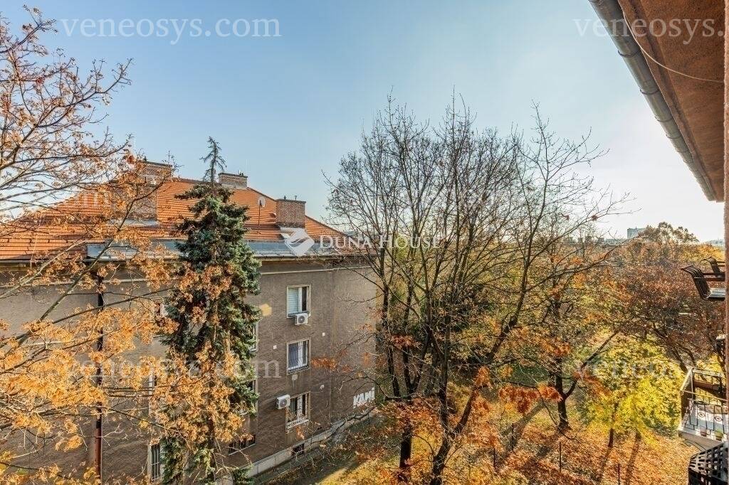 Kép 4