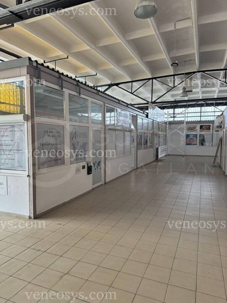 Kép 2