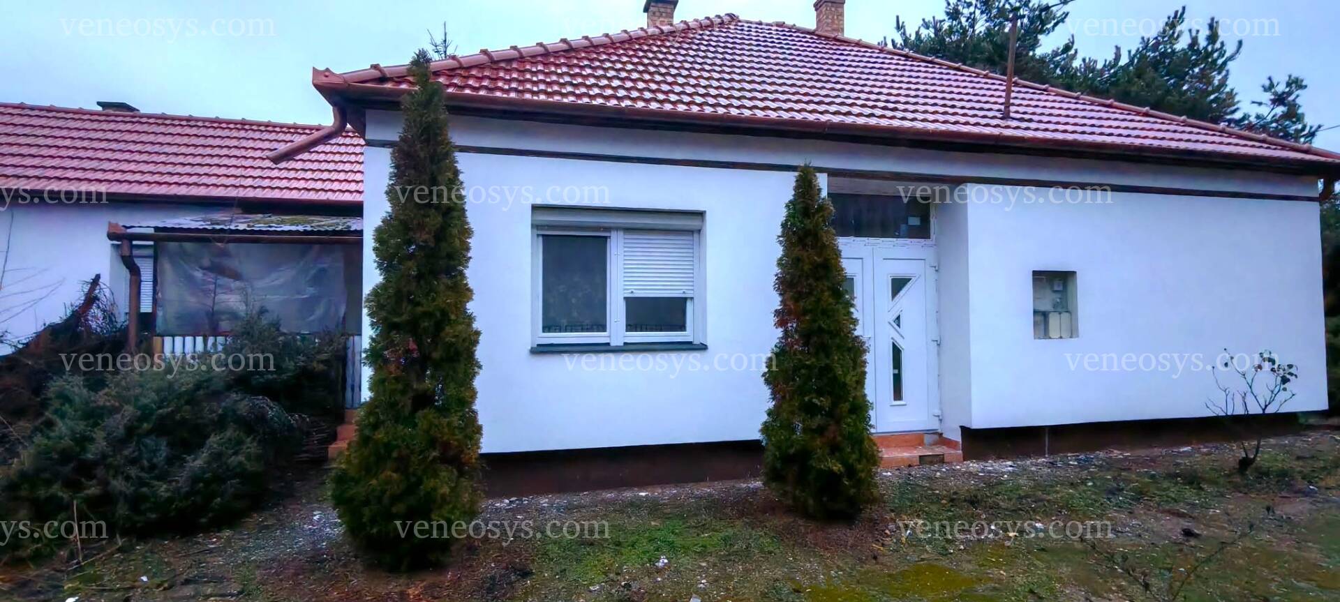 Kép 3
