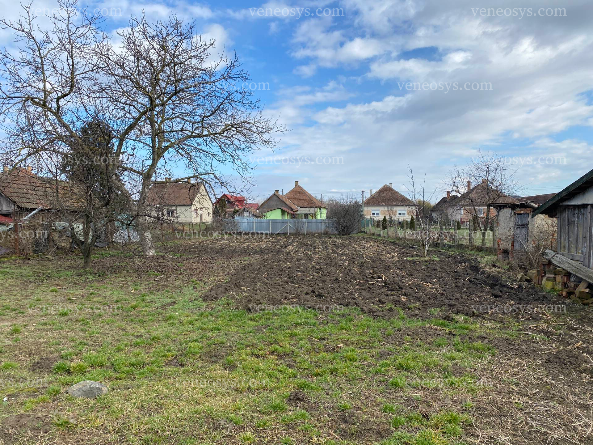 Kép 5