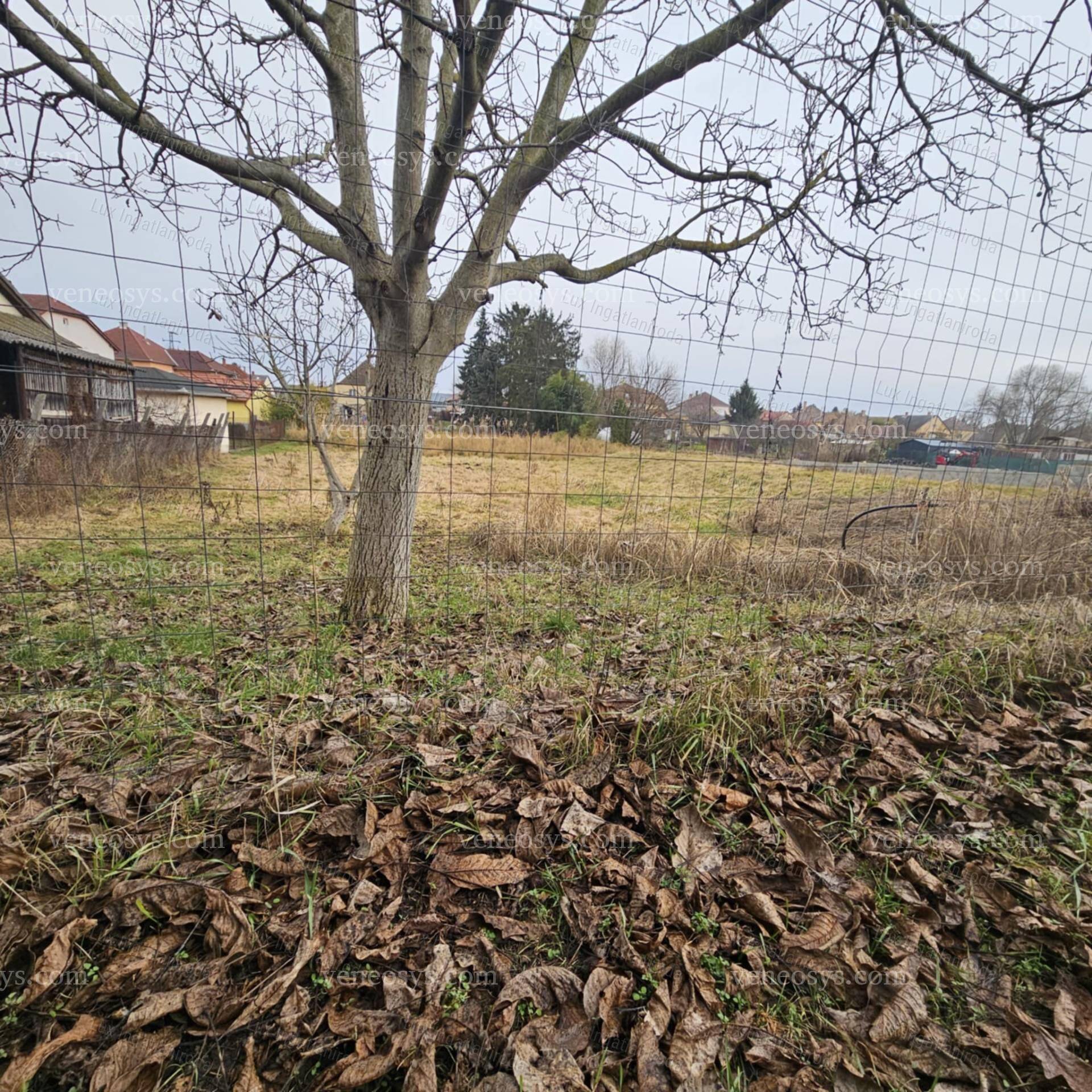 Kép 7