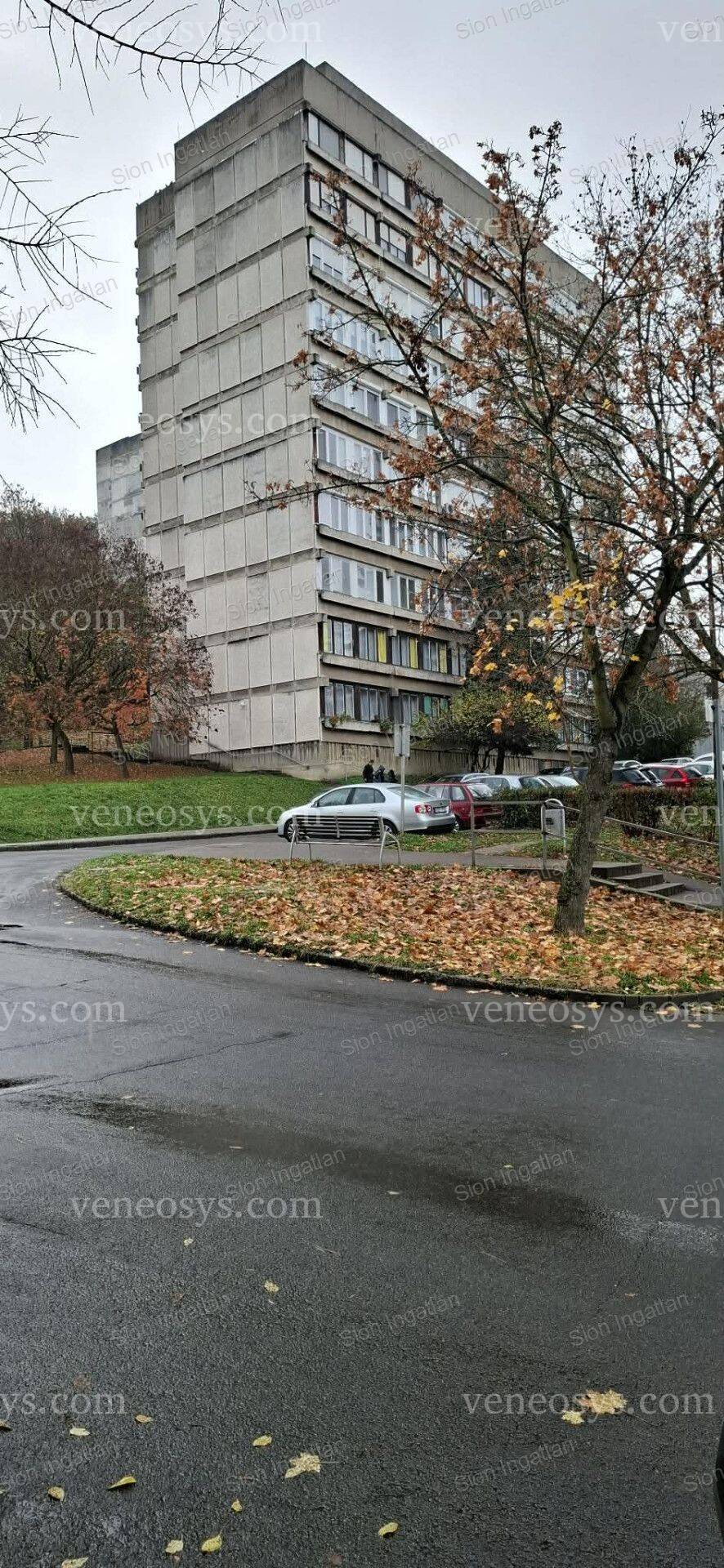 Kép 10