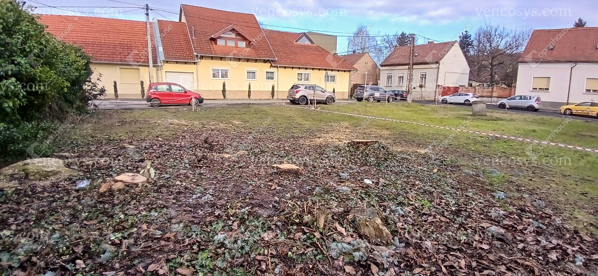 Kép 5
