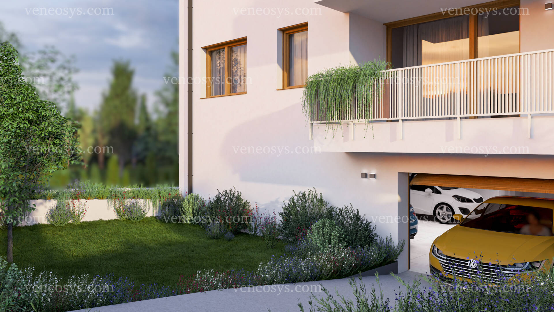 Kép 6