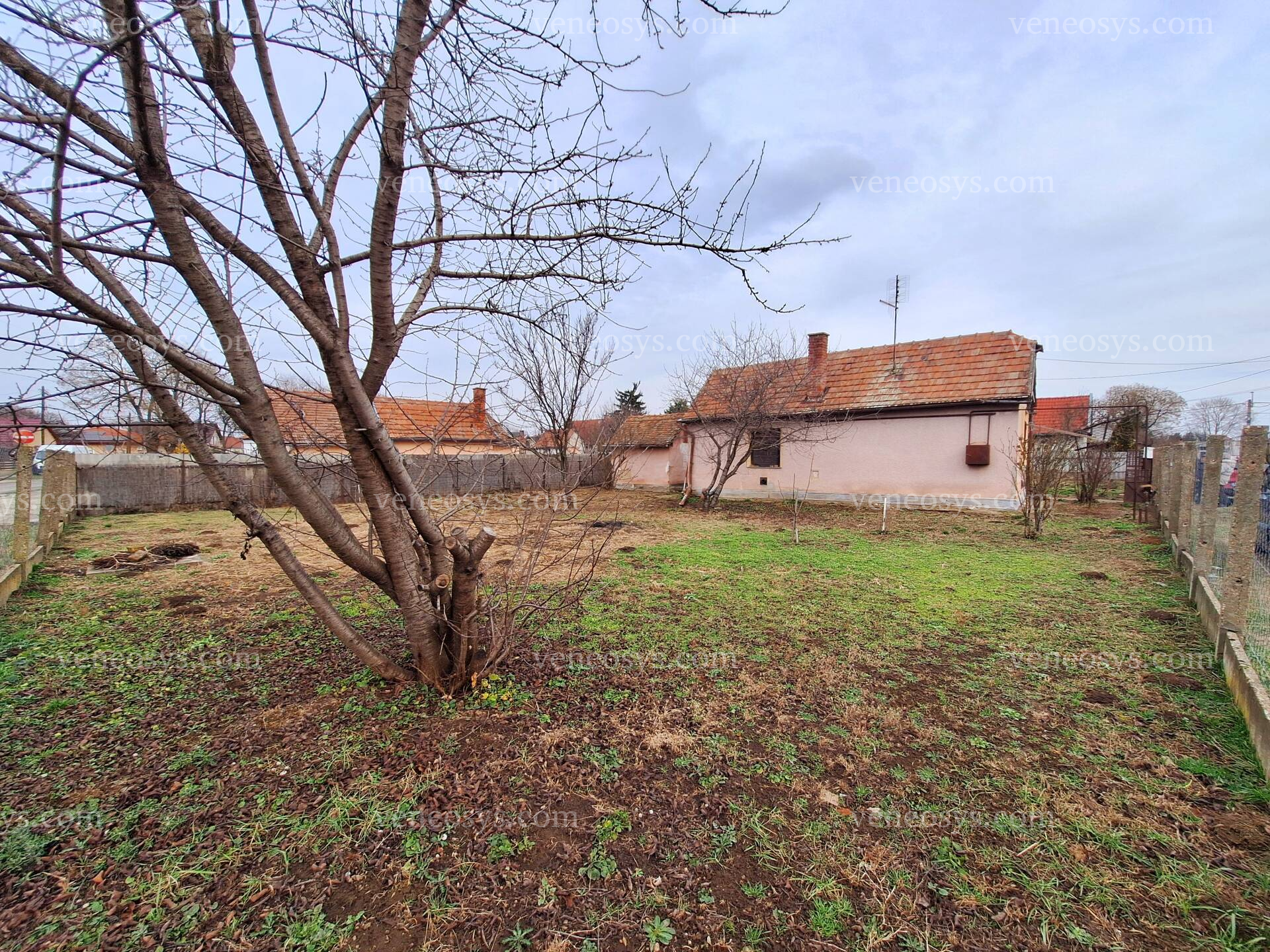 Kép 1