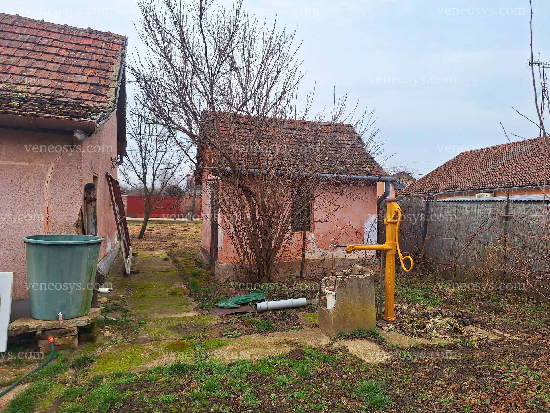 Kép 4