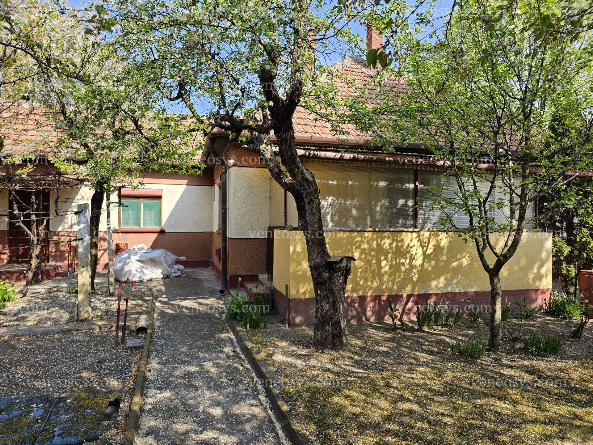 Kép 5