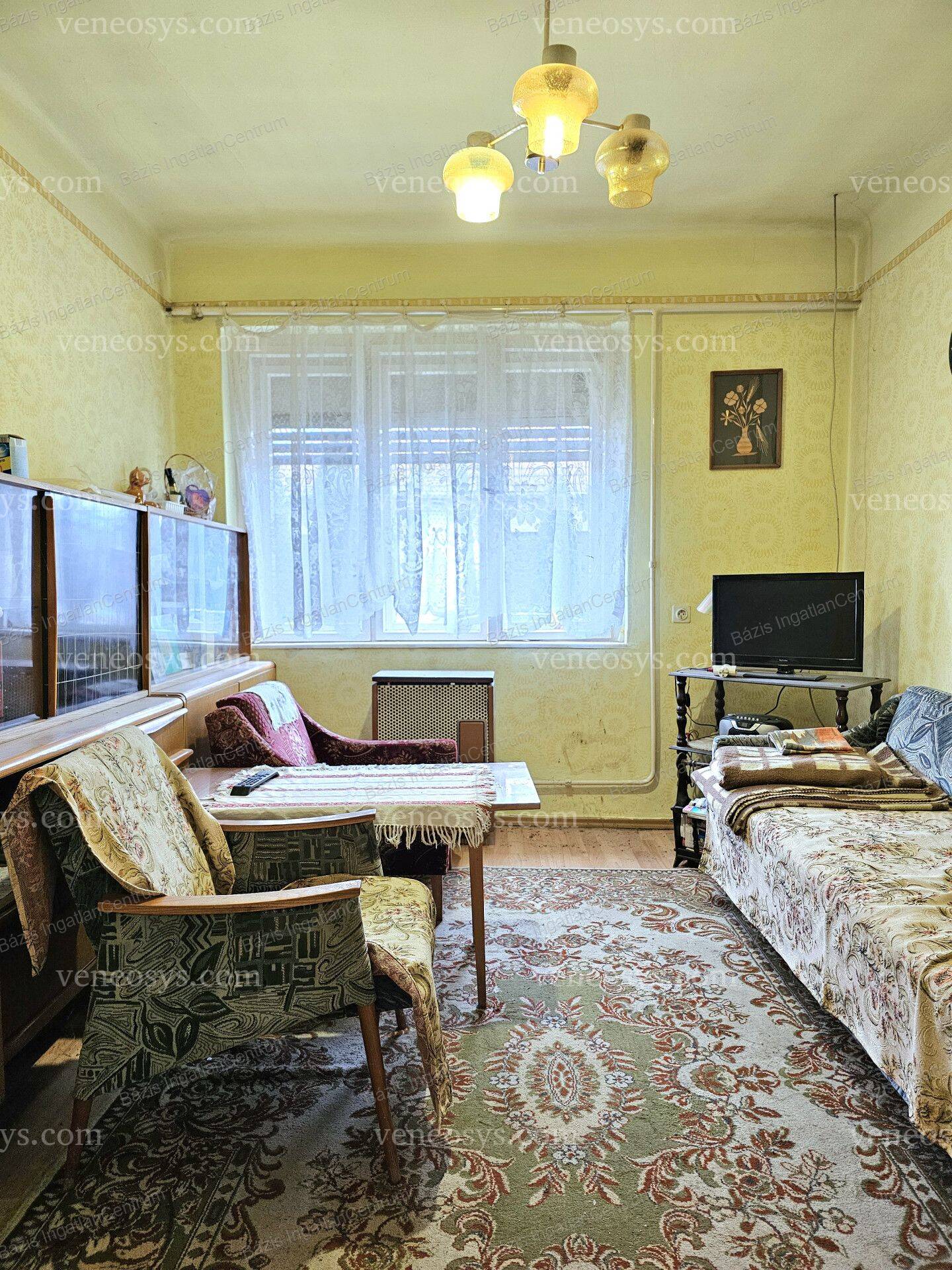 Kép 7
