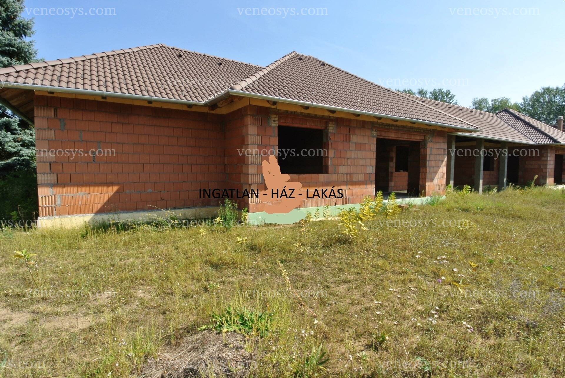 Kép 4