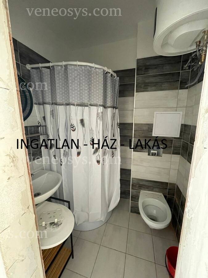 Kép 5