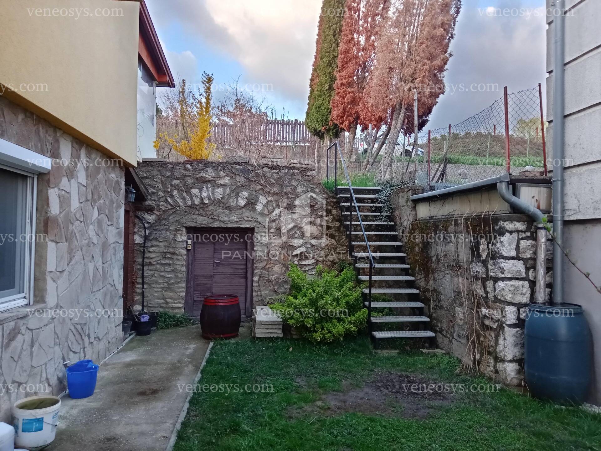 Kép 5