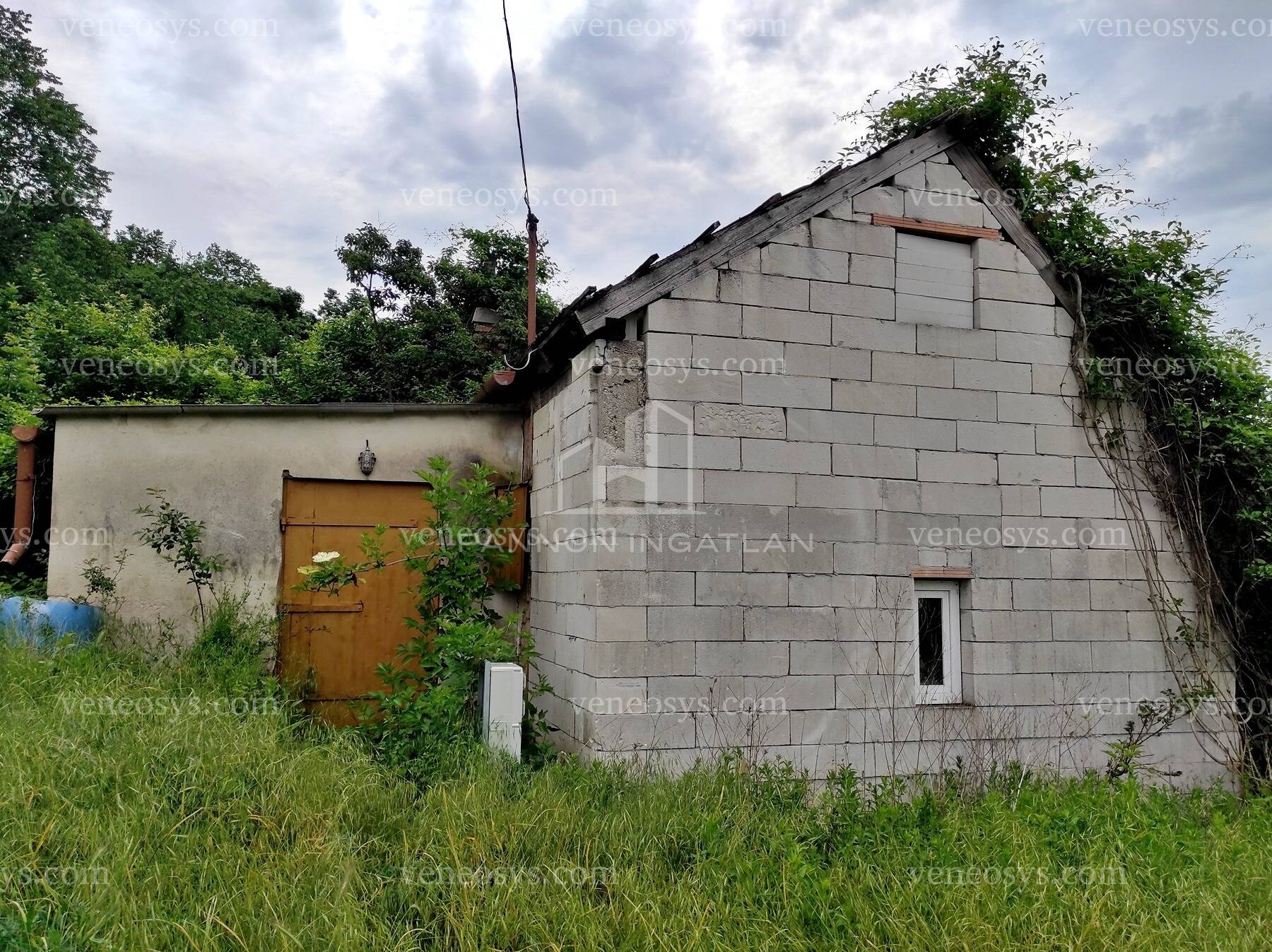 Kép 6