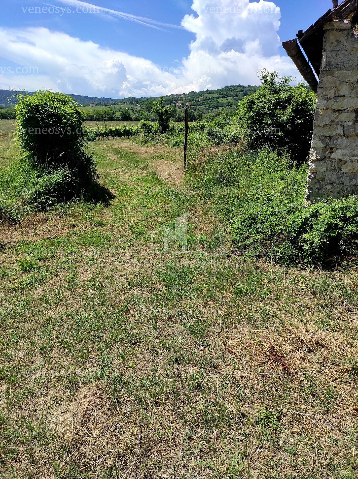 Kép 2