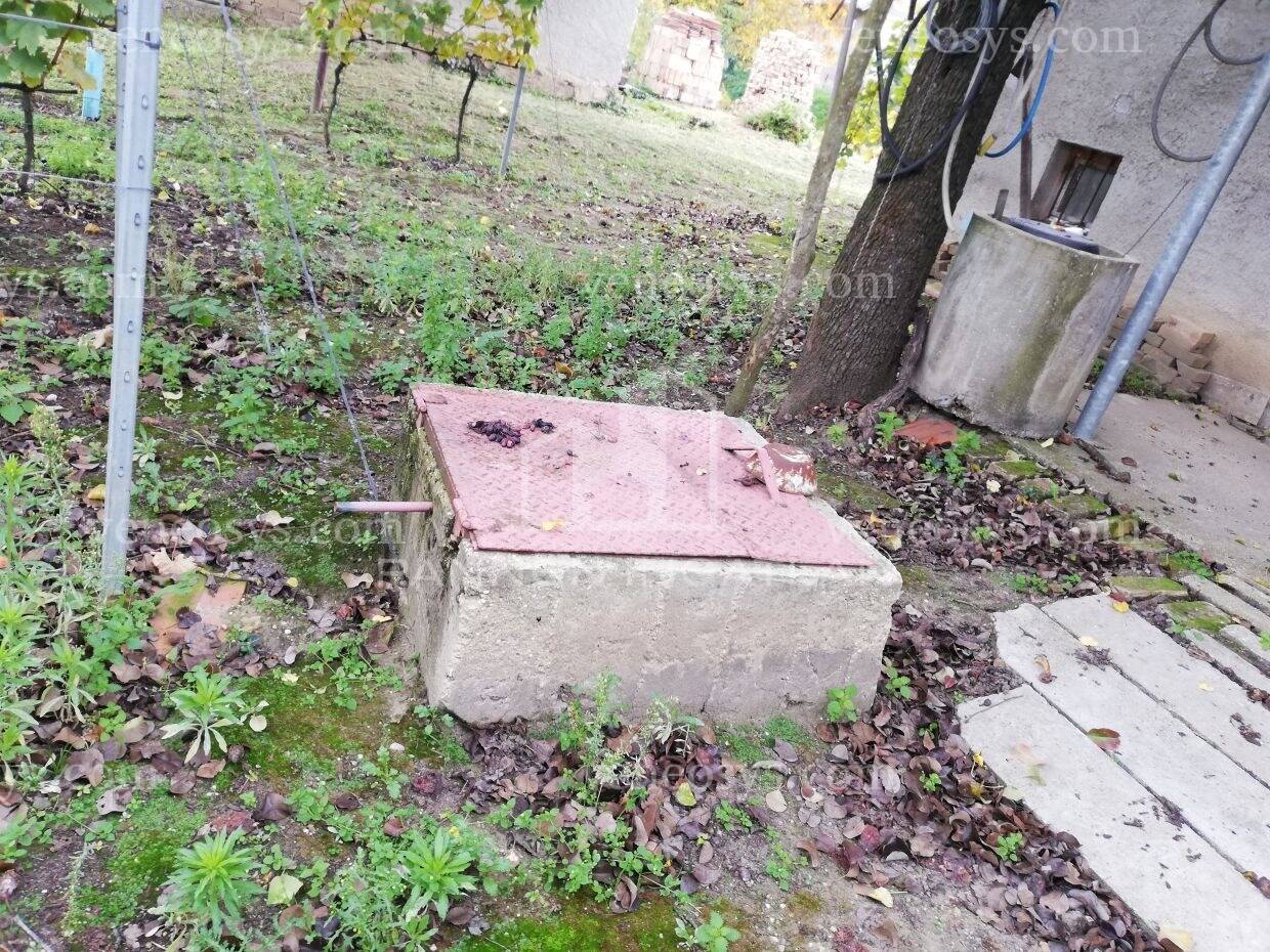 Kép 8